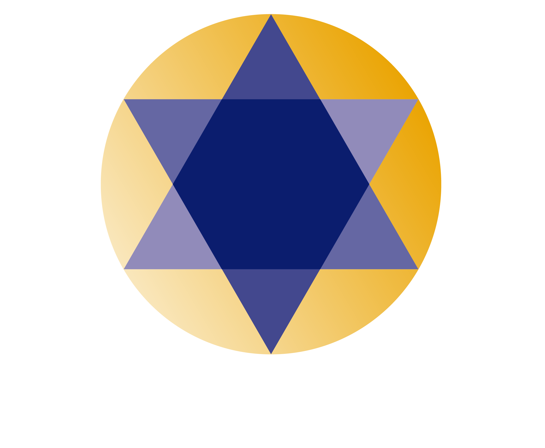logo_shiningjourney2L-01